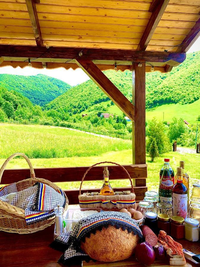 Rustic Cottage Sibiu Extérieur photo