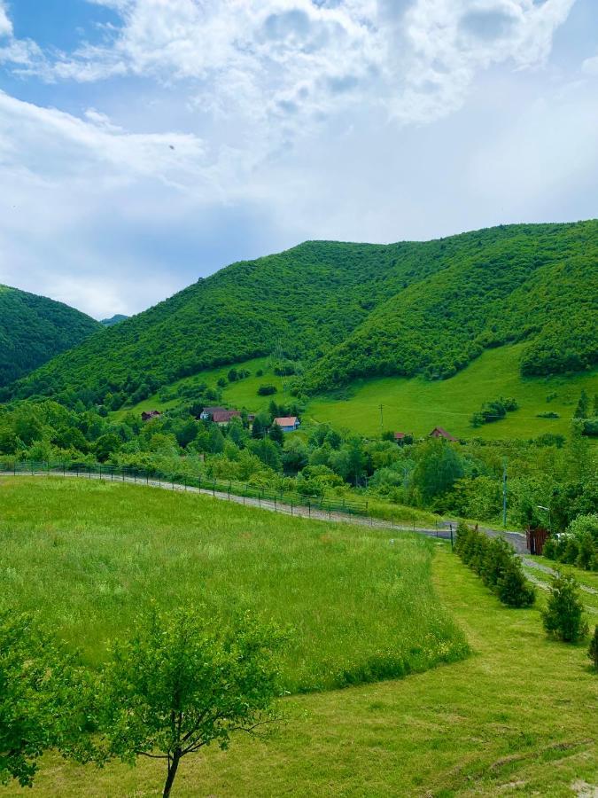 Rustic Cottage Sibiu Extérieur photo